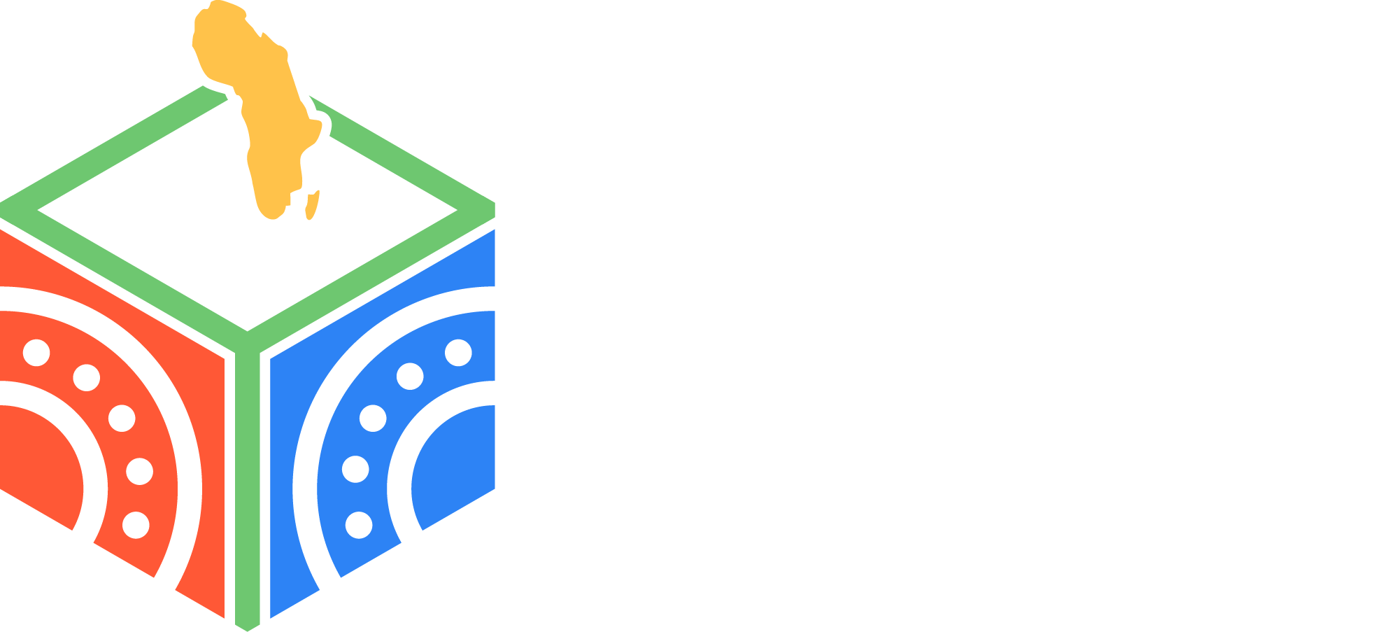 African Election Observers Network